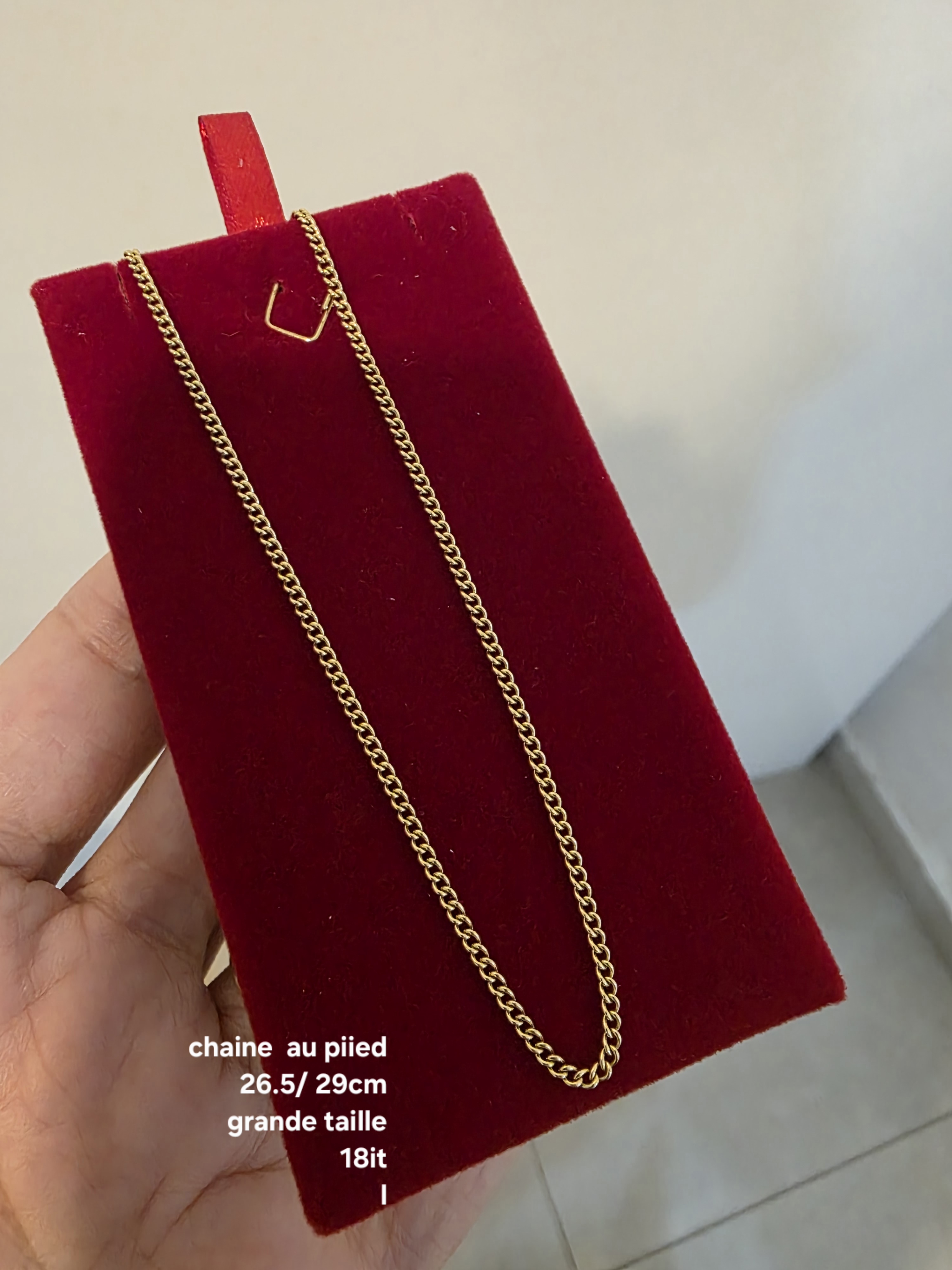 Chaines au pied
